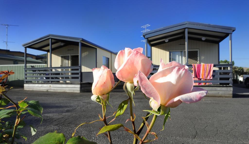 Apollo Bay Holiday Park Exterior photo